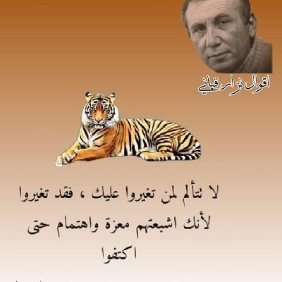 RmzyS15416's profile picture. جاد