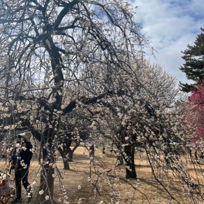 fujiirosoccoer's profile picture. 