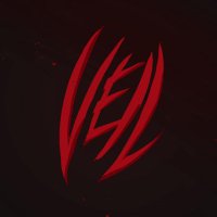 VEIL(@_veilada) 's Twitter Profile Photo