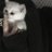 ぽむさんのプロフィール画像