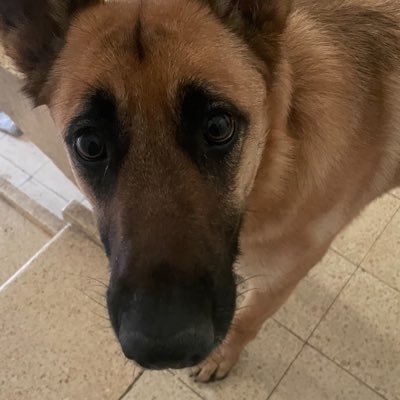 risk_manager_ai's profile picture. Crypto from the perspective of a banking risk manager