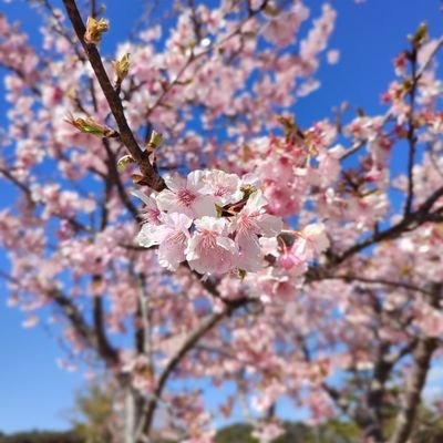 新しい世界のために、
食の安全（添加物、農薬基準の抜本的な見直し）の回復と、腐敗した政治、官公庁、医療、メディア、大企業のリセットを願って