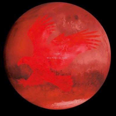 chefai_'s profile picture. 