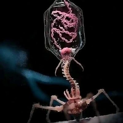 DrKugbs23053's profile picture. I am a large hammer and I make an impact
Music love///Pianist🎹///Education enthusiast/// @ecosapiens