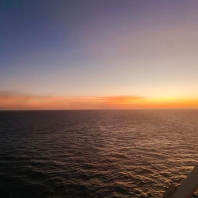 weiguang67081's profile picture. 