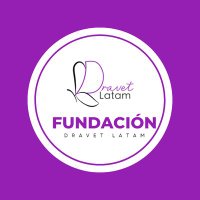 Fundación Dravet Latam(@dravetlatam) 's Twitter Profile Photo