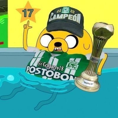 CChparro19's profile picture. 🤍💚