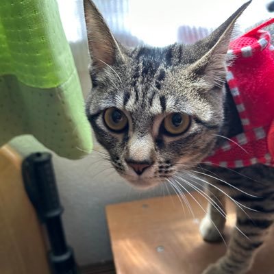 YUKI86568054's profile picture. よろしく〜