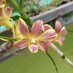 Vandu7557 (@huylam86653689) Twitter profile photo Vandu7557 (@huylam86653689) Twitter profile photo