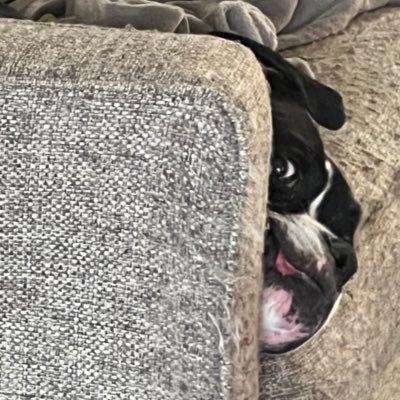 everyinchofgod's profile picture. 