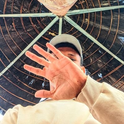 Adilson86564528's profile picture.