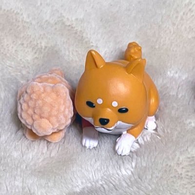 メロンさんのプロフィール画像
