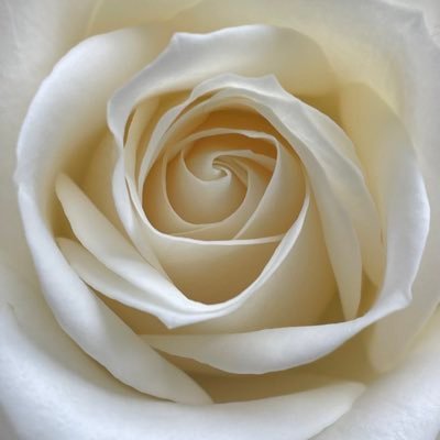 Paulさんのプロフィール画像