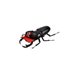 daily pest (@daily_pest1013) Twitter profile photo daily pest (@daily_pest1013) Twitter profile photo
