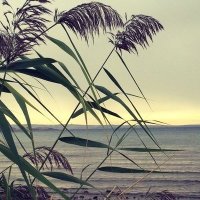 Fatma Aldฤฑrmaz Kasฤฑm (@fatmakasim87) 's Twitter Profile Photo Fatma Aldฤฑrmaz Kasฤฑm (@fatmakasim87) 's Twitter Profile Photo