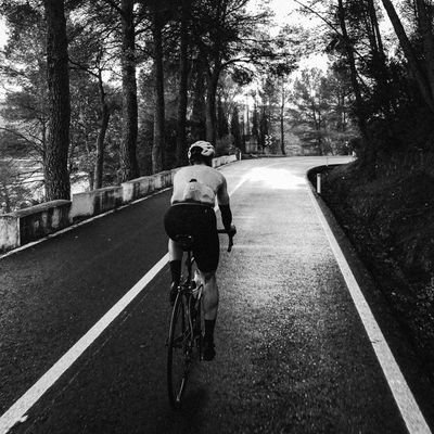 VerdejoJorge's profile picture. 