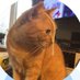 Debbie Terry (@debbiemt101) Twitter profile photo Debbie Terry (@debbiemt101) Twitter profile photo