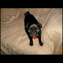 rodwelch - @ROD9welch - Twitter