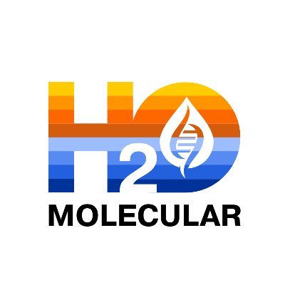 H2O Molecular