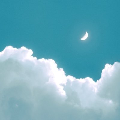 Wisteria_Ellie's profile picture. Designer