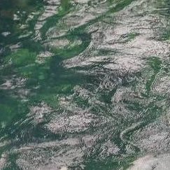 1wxybuvdy's profile picture. 无