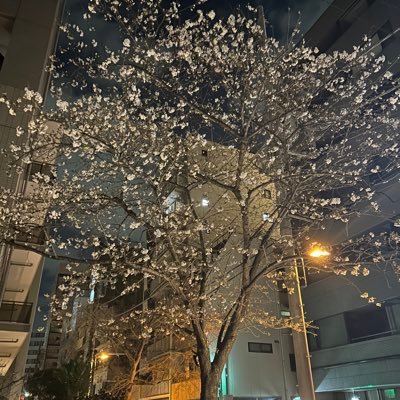 取引垢。日常垢でのお取引きは不便を感じていたので先日からこちらを稼働し始めました。成人済みの社会人です。お返事は24時間以内に心掛けております。交換後に追加自引きで必要分を超えた場合交換にお出しする事があるかもしれません。苦手でしたら申し訳ありません。また連絡は遅めの時間が多い為ご希望ある場合はお知らせ下さい