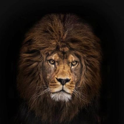 PaulTachiona's profile picture. everything the sun touches is ours.