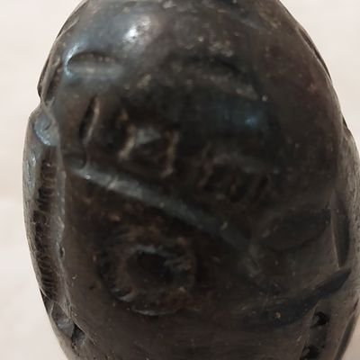 MMahtbi5333's profile picture. Putin was caught in a T-shirt, Trump was removed for clashing with the media, the presidents of the world are mindless robots. Iran became a communist toy