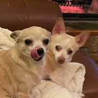 Being J Wood (@beingjwood) 's Twitter Profile Photo Being J Wood (@beingjwood) 's Twitter Profile Photo