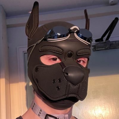 🔞NFSW | 56% pup, 48% hole, 62% pig, 50% balloon, 100% bad at math!