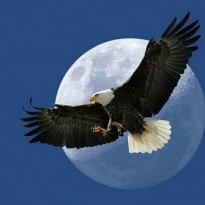 rezajafary1370's profile picture. 