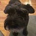 Hank Mardukas (@donaldd48774622) Twitter profile photo Hank Mardukas (@donaldd48774622) Twitter profile photo