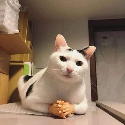 stheocachcuaban's profile picture. 