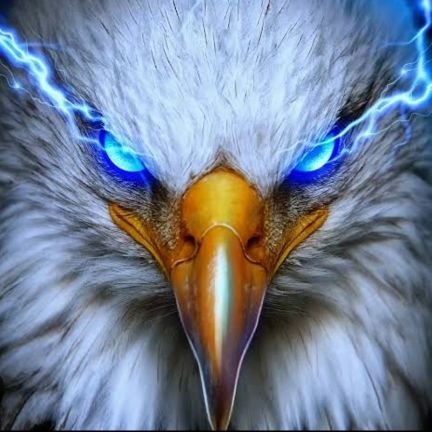 armaged2021's profile picture. 