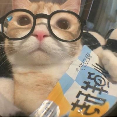 ebeyzaornk's profile picture. öyle
ytu • bme