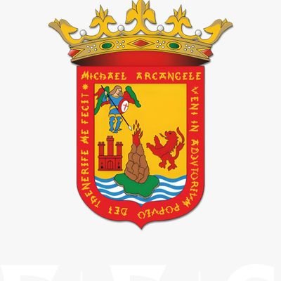 Órgano consultivo en materia socioeconómica del Excmo. Ayuntamiento de San Cristóbal de La Laguna (Tenerife -Islas Canarias-España).
