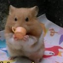 rogelio BAEZ.. - @RogeliopBae - Twitter