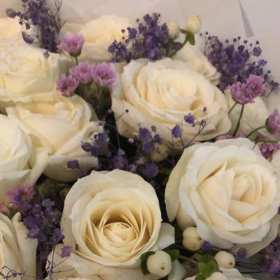 باحثة دكتوراه في تخصُّص الأدب والنَّقد، أحبّ الشِّعر، أهوى تدقيق النُّصوص العربيَّة ومراجعتها لغويًّا