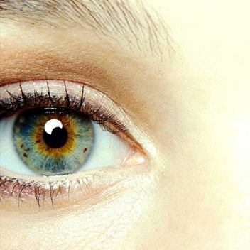 Eleuter763470's profile picture. Somewhere in time.
I am with Israel 🇮🇱