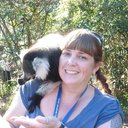 Helen Beech - @helen_beech - Twitter