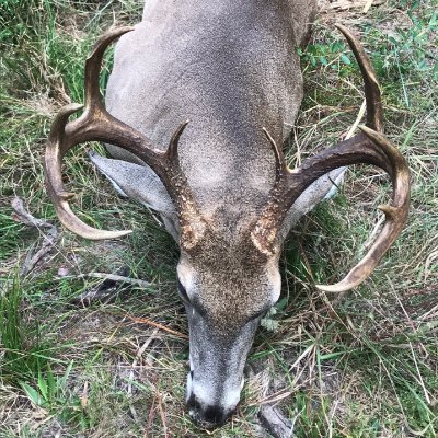 SkipScott11209's profile picture. 