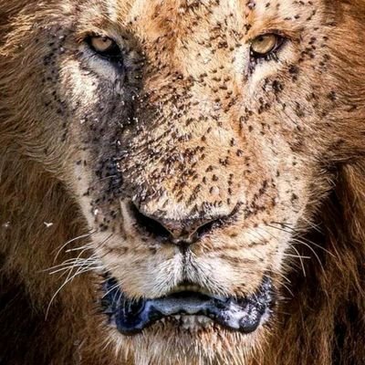 dixitmp's profile picture. 