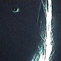 EliayBlacksacl (@annabel11154918) 's Twitter Profile
