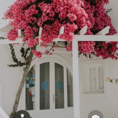 salo0oma_94's profile picture. 💛