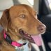 Luna.FosterFail (@lunafosterfail) Twitter profile photo Luna.FosterFail (@lunafosterfail) Twitter profile photo