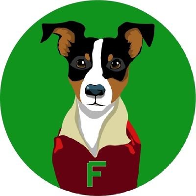 FollettoToken's profile picture. A new project ! A coin for each person .. a coin for everyone !!!
FOLLETTO ( FOL )