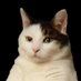 PurrrPosing (@purrrposing) Twitter profile photo PurrrPosing (@purrrposing) Twitter profile photo