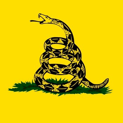 SrLibertariox Profile Picture