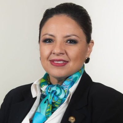 Diputada al Congreso de la República (2024-2028). ExCanciller de Guatemala, (Cuenta Parodia)