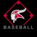 HF Viking Baseball (@HFHS_BASEBALL) Twitter profile photo